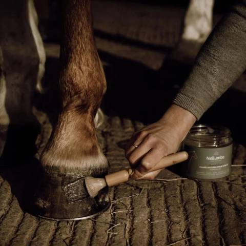 Pinceau pour sabot - Nellumbo - 100% bois