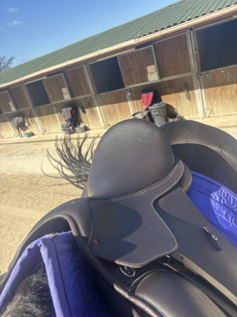 Selle wintec 500 hart 