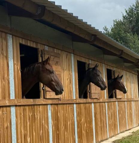 Pension proche université le mans