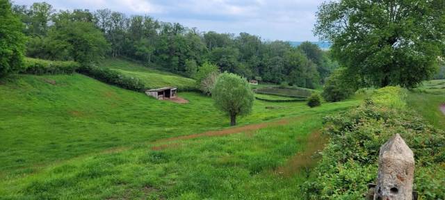 Pension près chevaux