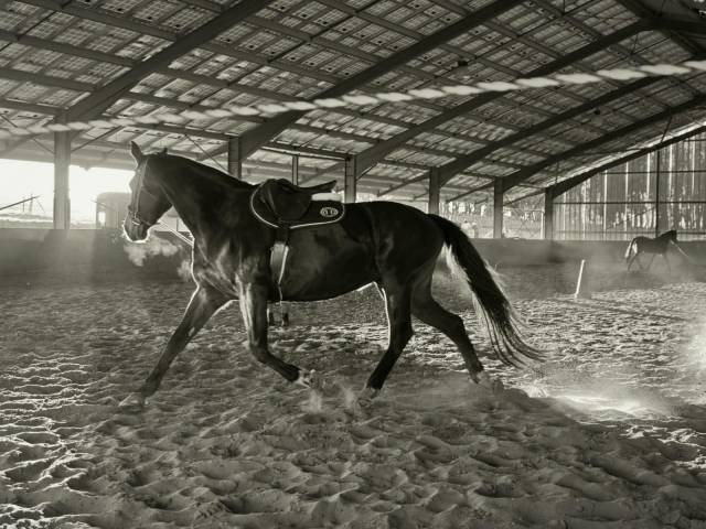 Bacoumba de riverland 14 ans 1m66 sf