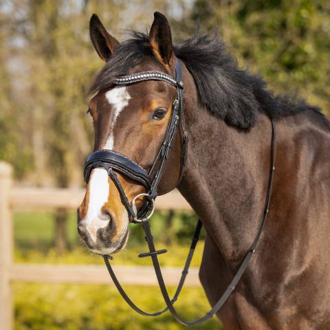 Frontal en cuir Skye - QHP - Bouton pression