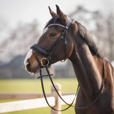 Bridon anatomique Skye - QHP - Cuir avec paillettes