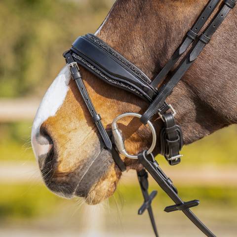 Rembourrage muserolle interchangeable Skye - QHP - Strass