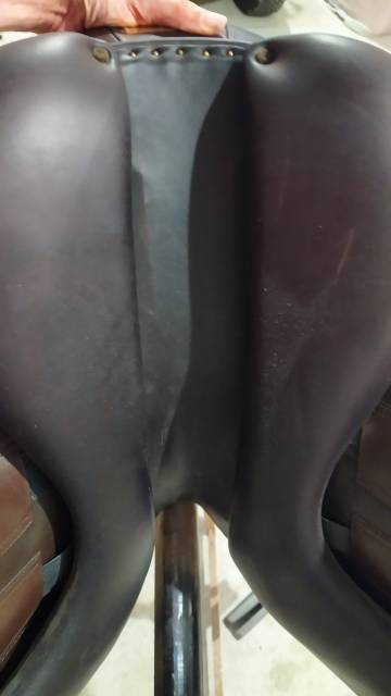 Selle Macel dressage 