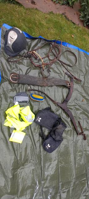 Selle western Pool's 3010