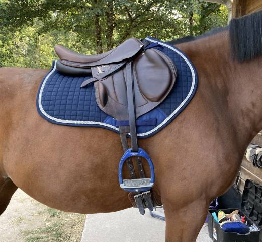 Selle Rebelle complète