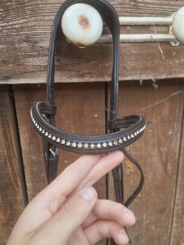 Filet taille L