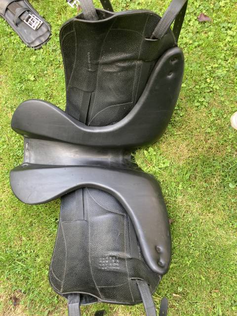 Forestier Aachen 17,5 noire 2021