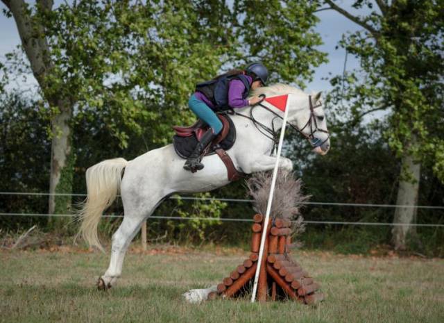 à vendre top poney d 15 ans