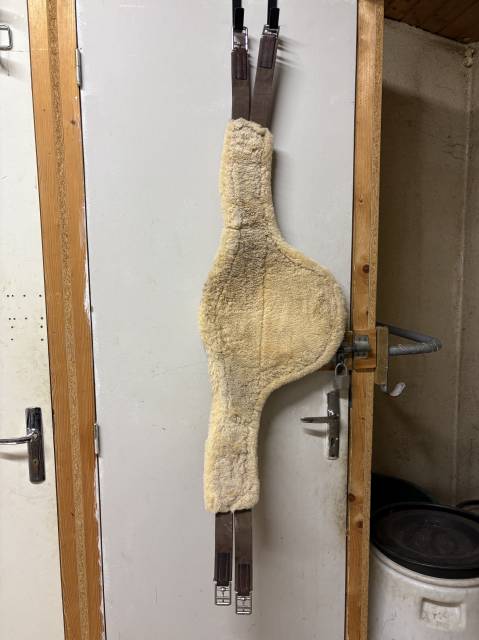 Sangle bavette mouton CWD 