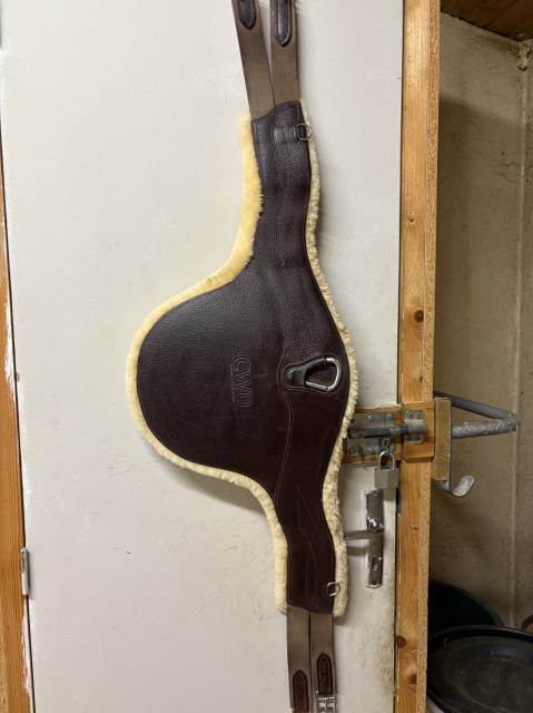 Sangle bavette mouton CWD 