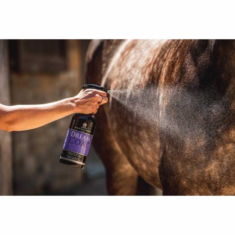 Lustrant cheval Dreamcoat - Carr & Day & Martin - Brillance éclatante