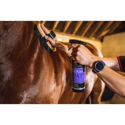 Lustrant cheval Dreamcoat - Carr & Day & Martin - Brillance éclatante