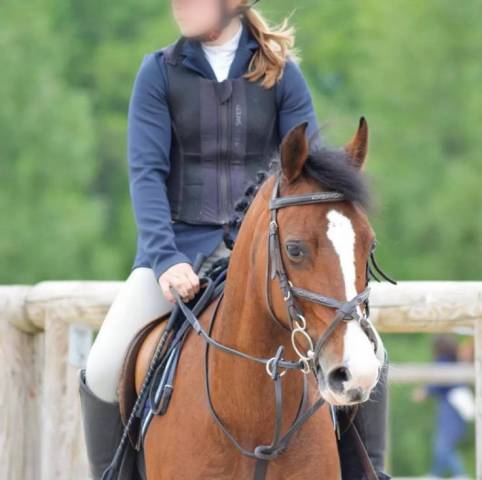 à vendre – super ponette d