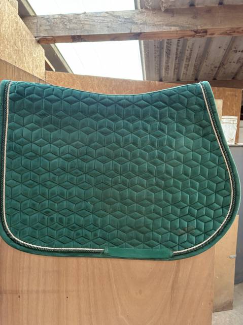 tapis kentucky 