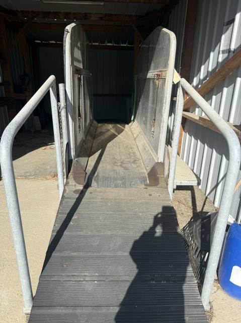 Tapis marcheur Horsetrainer 