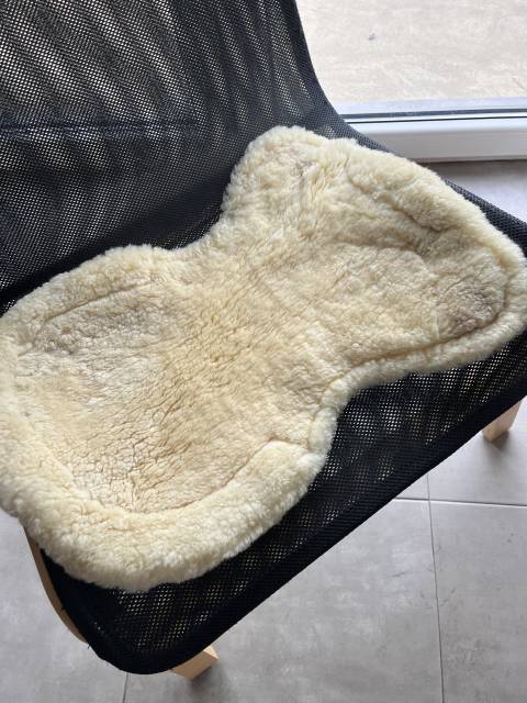 Amortisseur mouton et gel BR