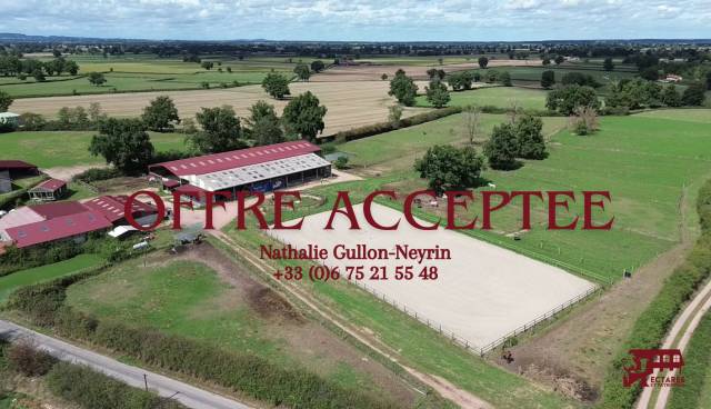 Structure équestre 28 hectares + fermages possibles