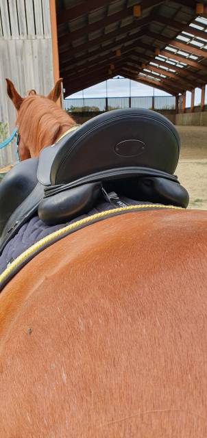 Selle dressage Equipe Kalifornia