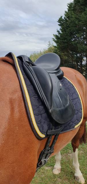 Selle dressage Equipe Kalifornia
