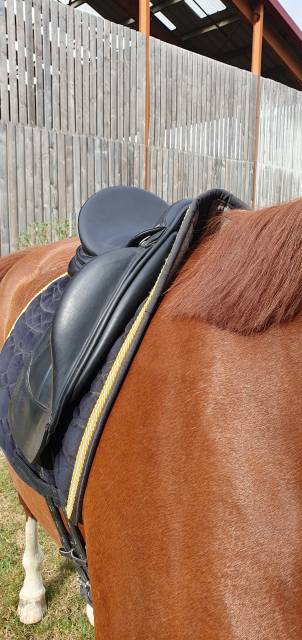 Selle dressage Equipe Kalifornia