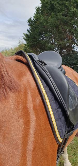 Selle dressage Equipe Kalifornia