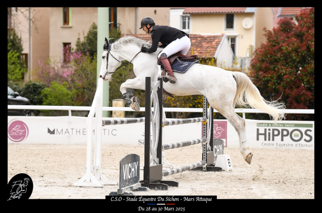 Cheval de cso 12 ans