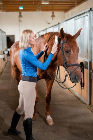 Pantalon Femme J Basanes silicone - Cavalliera - Haute performance