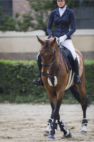 Veste de concours SUPERIOR - Cavalliera - Softshell technique