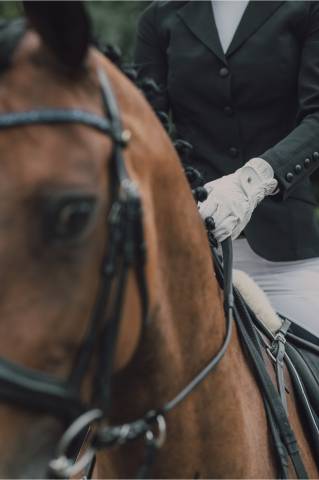 Veste de concours CLASS - Cavalliera - Softshell technique