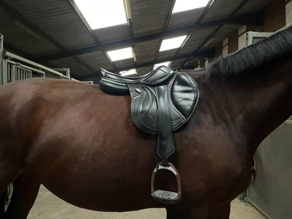 Selle CWD 2gs 17,5’