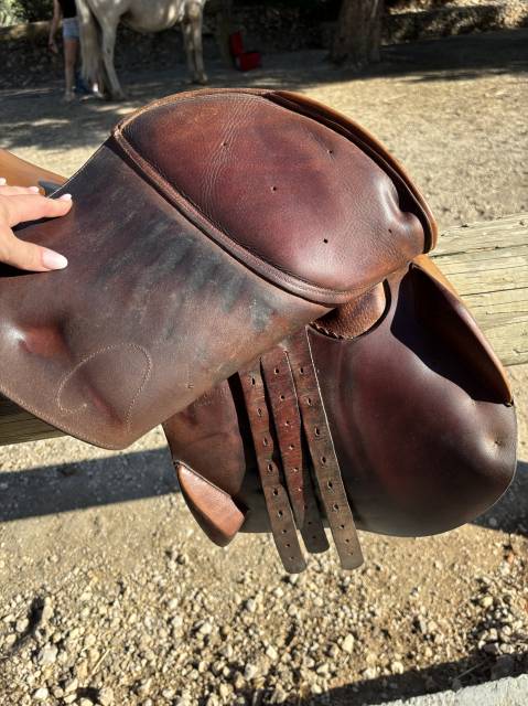 selle forestier cuir marron clair 2012