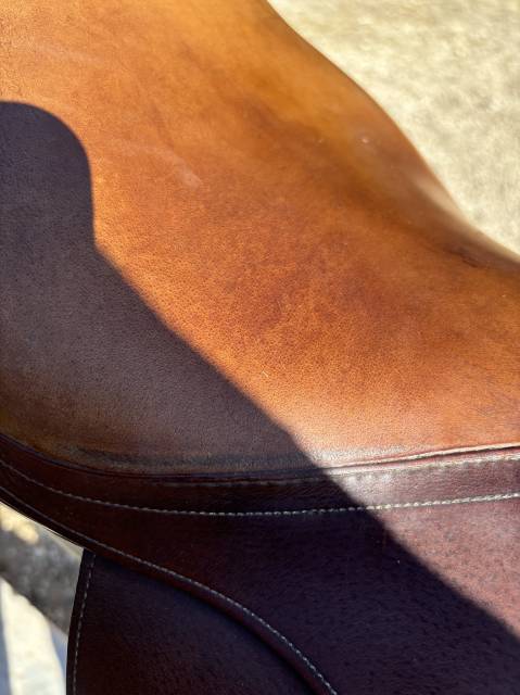 selle forestier cuir marron clair 2012