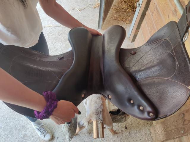 Selle Antares 17, 5 pouce 2023