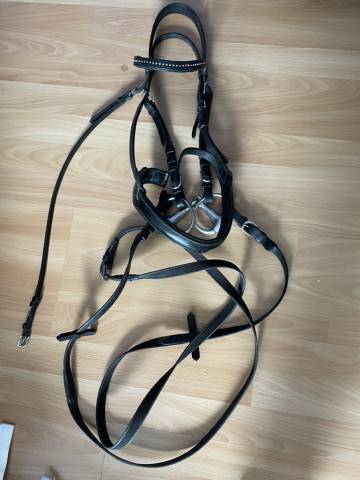 Filet Eric Thomas cuir taille COB