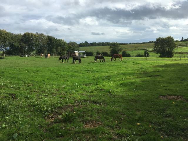 Pension bien-être de pleine nature