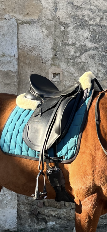 Selle Dressage Passier Corona II