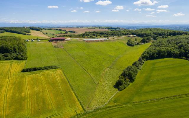 Pension chevaux et poulains à muret (31)