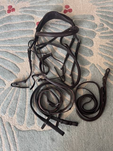 Bride anatomique CWD