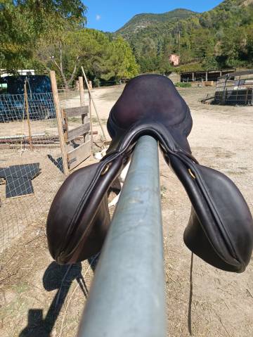 Selle monoquartier forestier 