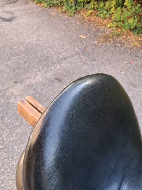 Selle Eric Thomas Aachen 