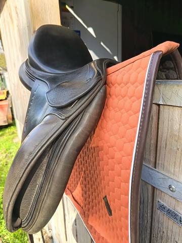Selle ikonic dressage 16.5 pouces