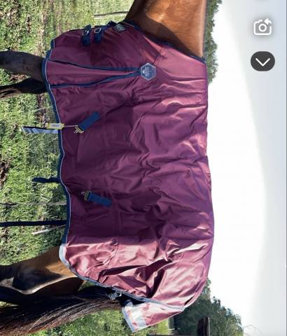 Couverture Félix Buhler 155