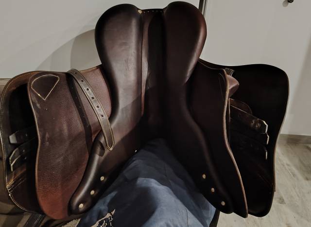 Selle Antares Evolution marron   Taille 17'