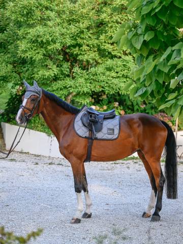 Tapis de selle Greymelange Mixte Gris - Boss Equestrian