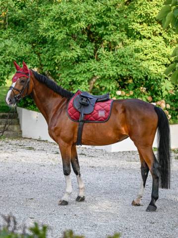 Tapis de selle Velours Carbernet Mixte Bordeaux - Boss Equestrian
