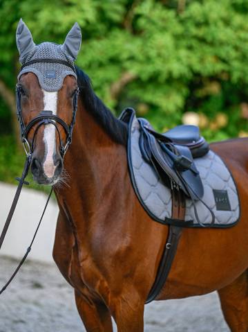 Bonnet anti-mouches Greymelange Gris - Boss Equestrian