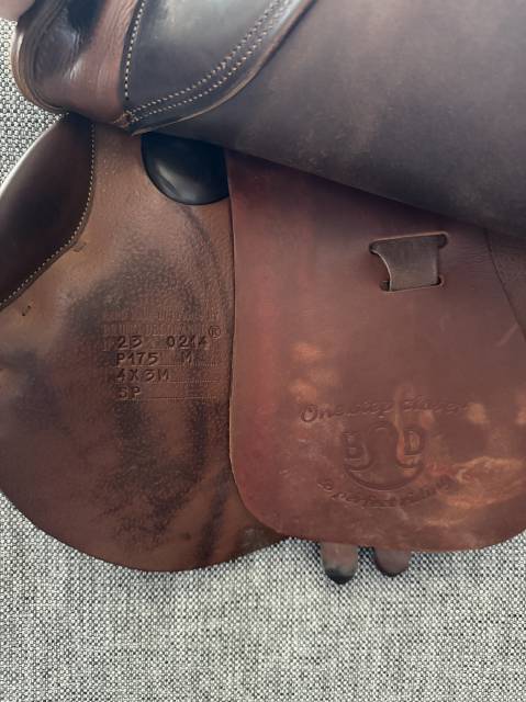 Selle BRUNO DELGRANGE 2023 - taille 17,5