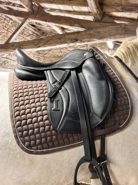 Selle de dressage Ikonic - « Evolution » 2025